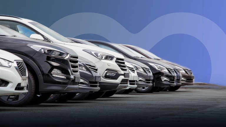 dealership lot filled with vehicles